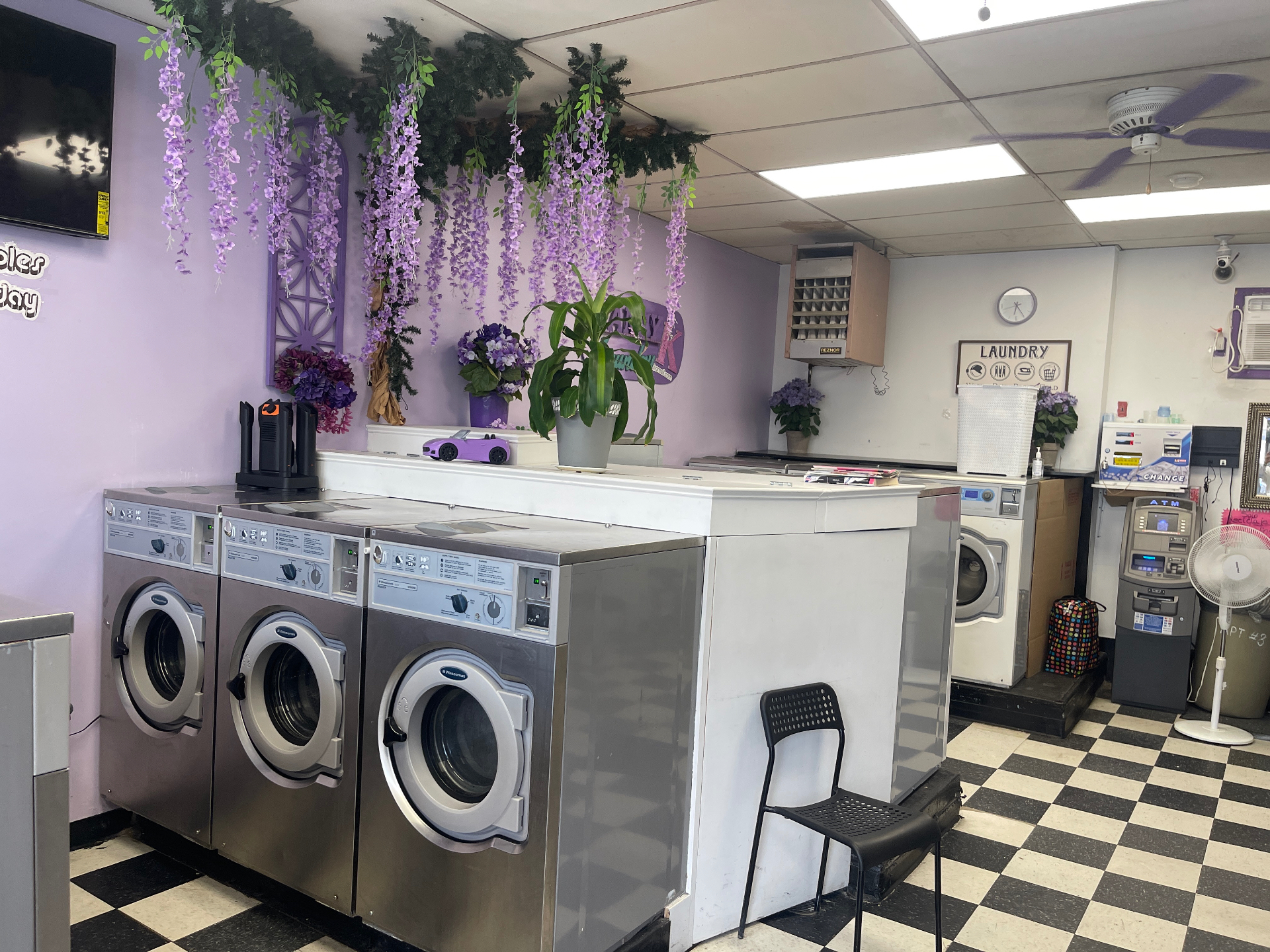 Washing machines with purple wisteria decor